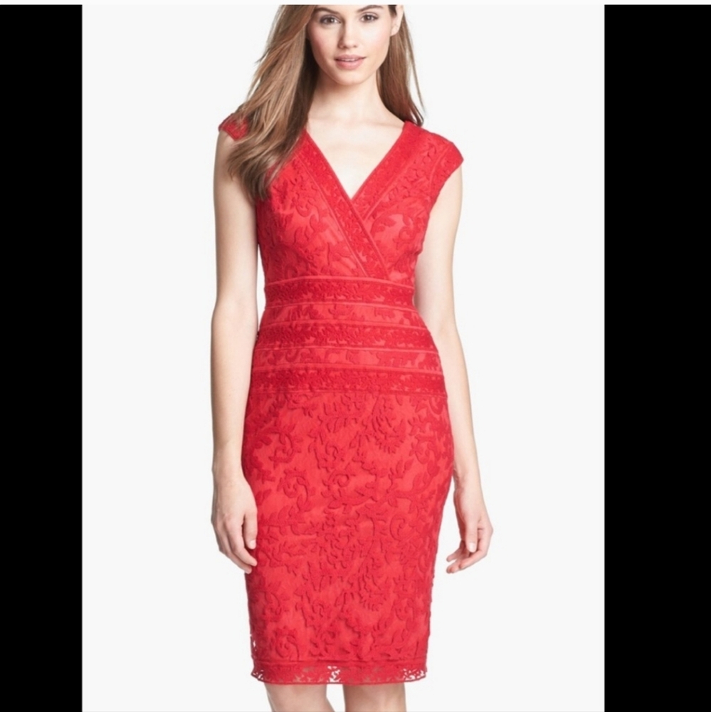 Tadashi Shoji embroidered lace v neck dress